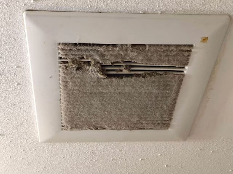 Exhaust fan — Before